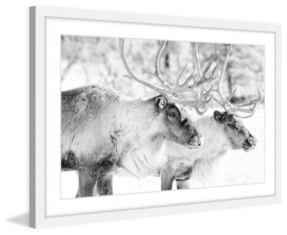 Marmont Hill, "Elk Pair" Framed Painting Print, 18x12
