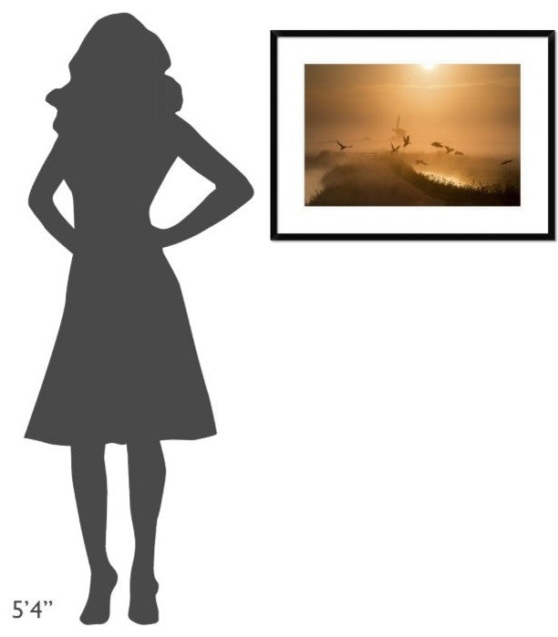"Sunrise Flight" Framed Digital Print by Harm Klaverdijk, 32x24"