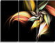 "Light Orange Pink Flower" Metal Wall Art, 3 Panels, 36"x28"