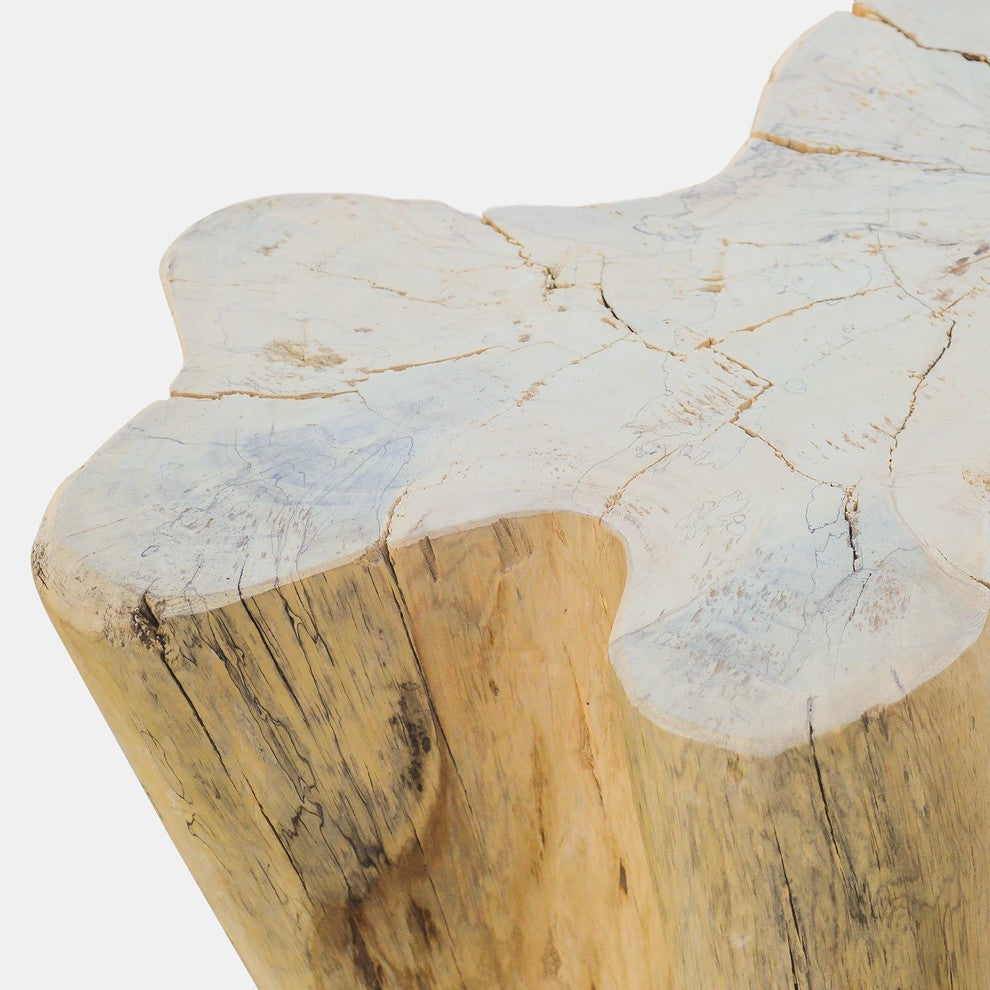 Ficus Wood Coffee Table Base