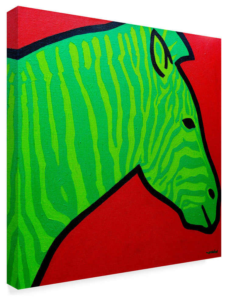 John Nolan 'Irish Zebra' Canvas Art, 24