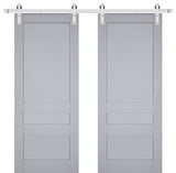 Double Barn Door 84 x 80, Veregio 7411 Grey, Silver 14FT