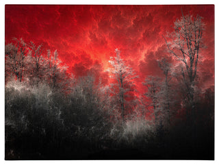'Hot and Cold' Canvas Art by Philippe Sainte-Laudy