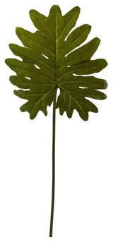 Selloum Philo Single Leaf Stem Arrangements, Set of 12