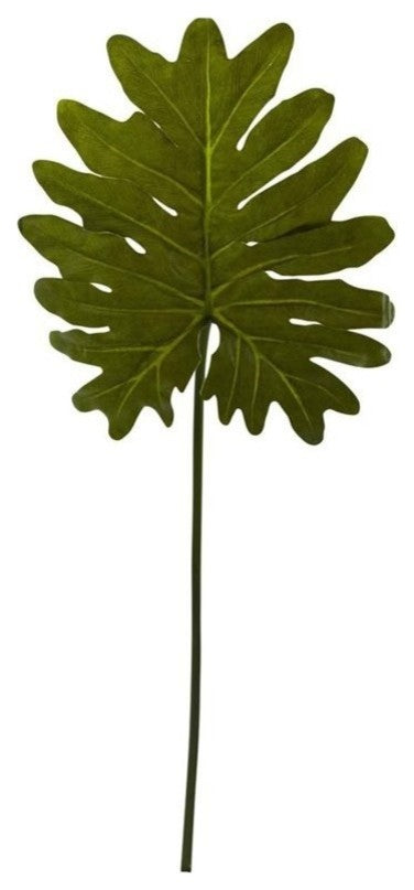 Selloum Philo Single Leaf Stem Arrangements, Set of 12