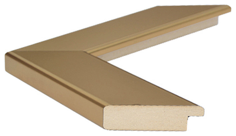 Meade Framed Wall Mirror, Champagne Gold, 28"x24"