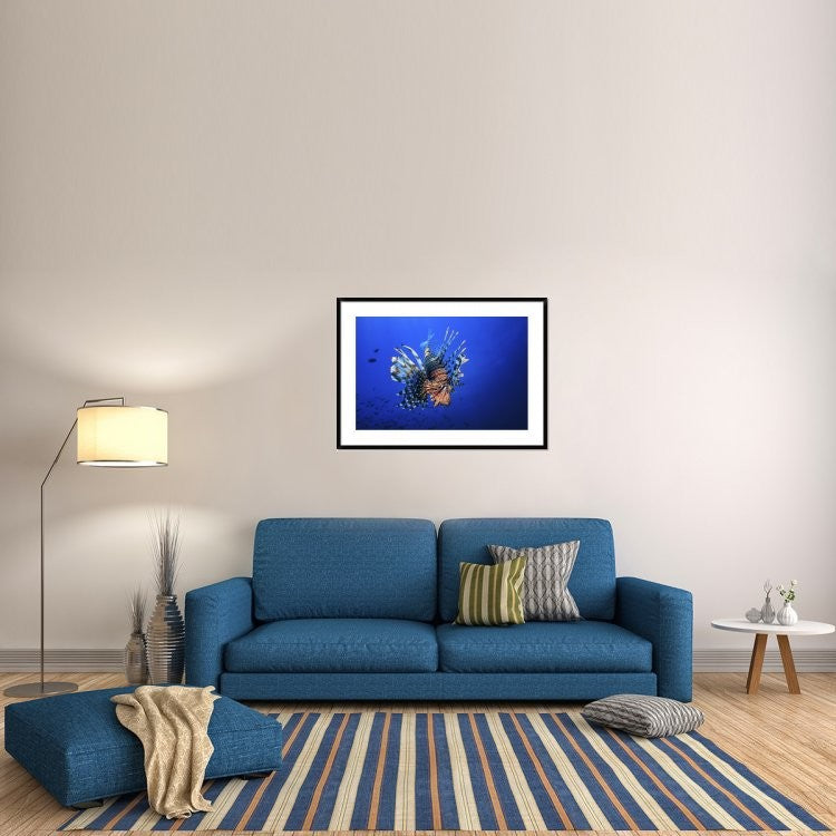 "Lionfish" Framed Digital Print by Barathieu Gabriel, 44x32"