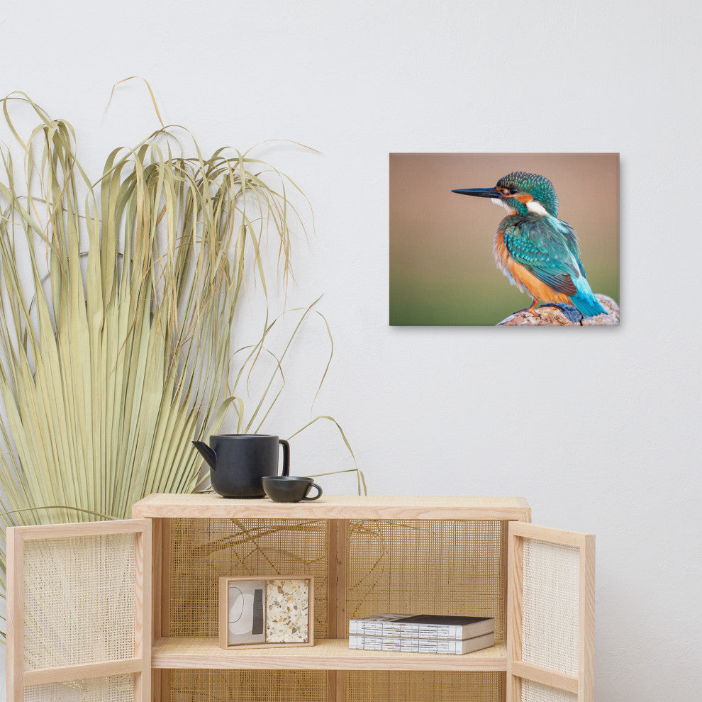 Common Kingfisher Bird on Perch Animal Wildlife Photograph Canvas Wall Art Print, 18" X 24"