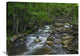 "Little Stony Creek Flowing Through Jefferson National Forest, Virginia" Artwork