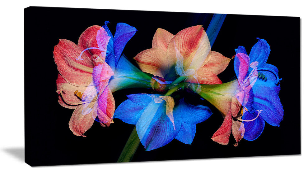 Abstract Blue Red Flower on Black, Extra Large Floral Wall Art, 32"x16"