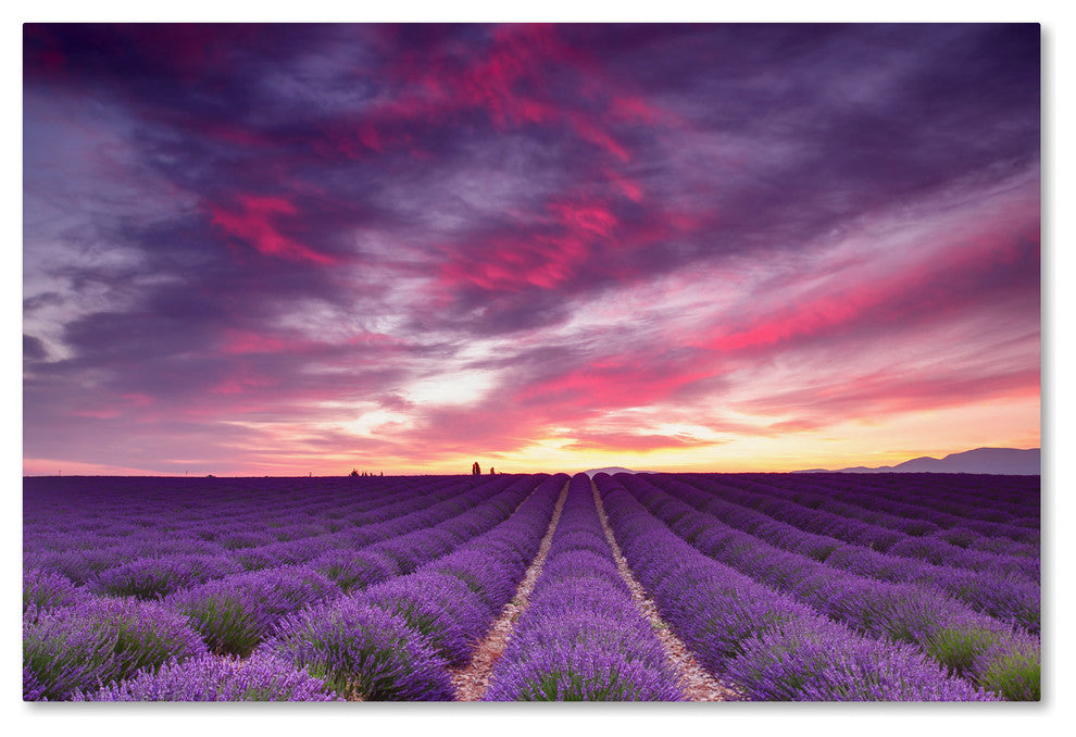 Blanchette Photography 'Pink And Purple' Canvas, 24"x16"