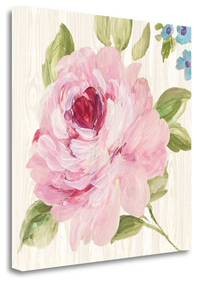 "Driftwood Garden IV" By Wild Apple Portfolio, Giclee on Gallery Wrap Canvas