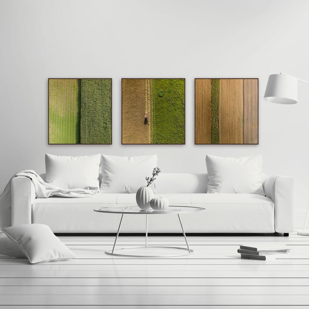 Crop Rows Triptych, 36x12