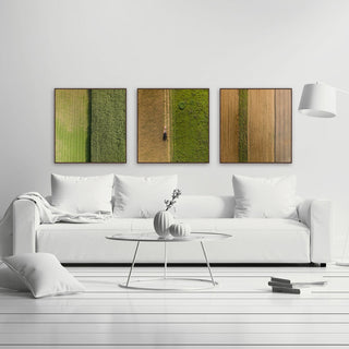 Crop Rows Triptych, 36x12