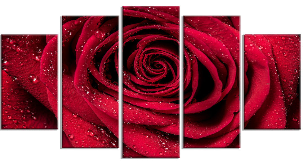 "Red Rose Petals With Rain Droplets" Canvas Print, 5-Panels, 60"x32"
