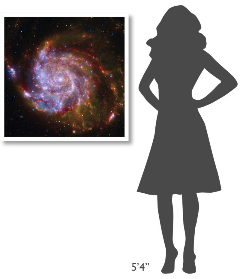 "Spitzer-Hubble-Chandra Composite of M101" Digital Paper Print by NASA, 32"x32"