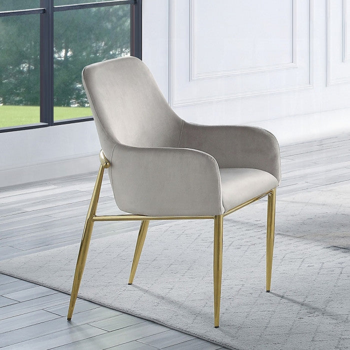 ACME Barnard Side Chair, Set of 2, Gray Velvet and Mirrored Gold