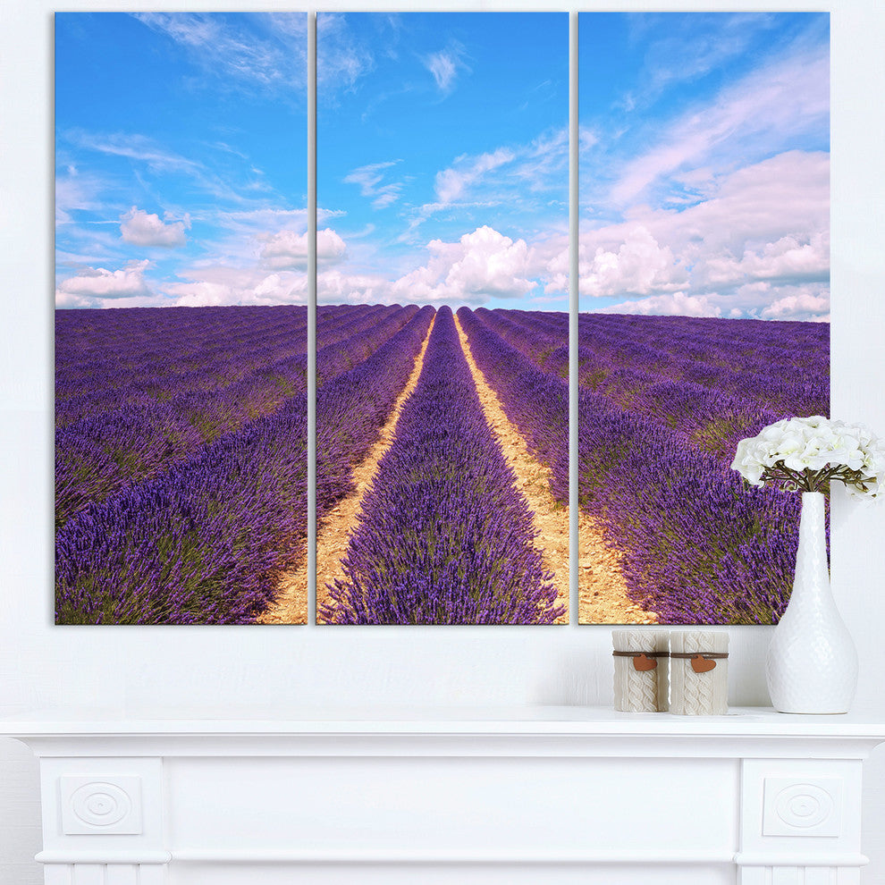 "Blooming Lavender Flower Field" Metal Wall Art, 3 Panels, 36"x28"
