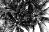 "Summer Fronds" Painting Print on Wrapped Canvas