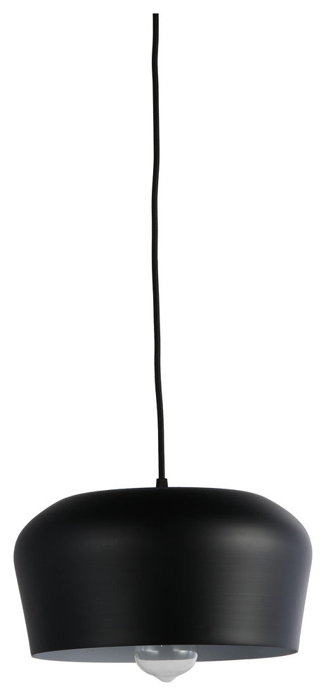 Beaut 1 Light Pendant, Black, 12"x12"