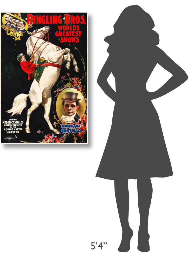 Madam Ada Castello And Jupiter, Poster For Ringling Brothers, Ca,  1899, 24x36