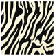 Safavieh Soho soh717a Rug, White/Black, 6'0"x6'0" Square