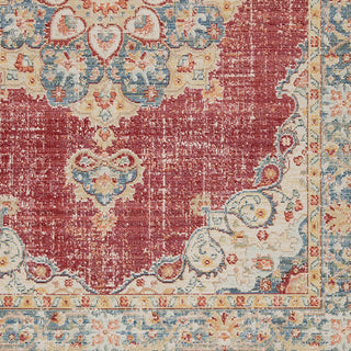 Ceniscia Haven Vintage Polyester Area Rug, Red, 2'6"x8'