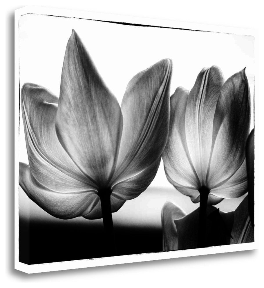"Translucent Tulips V" By Debra Van Swearingen, Giclee on Gallery Wrap Canvas