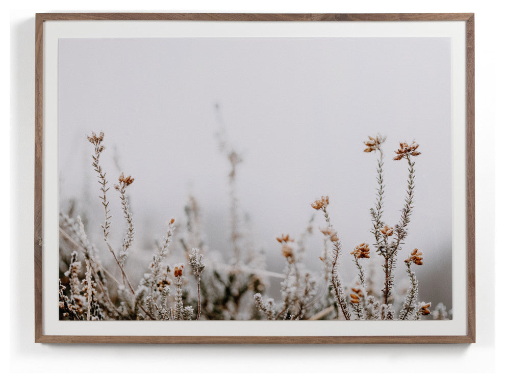 In The Details Ii By Annie Spratt