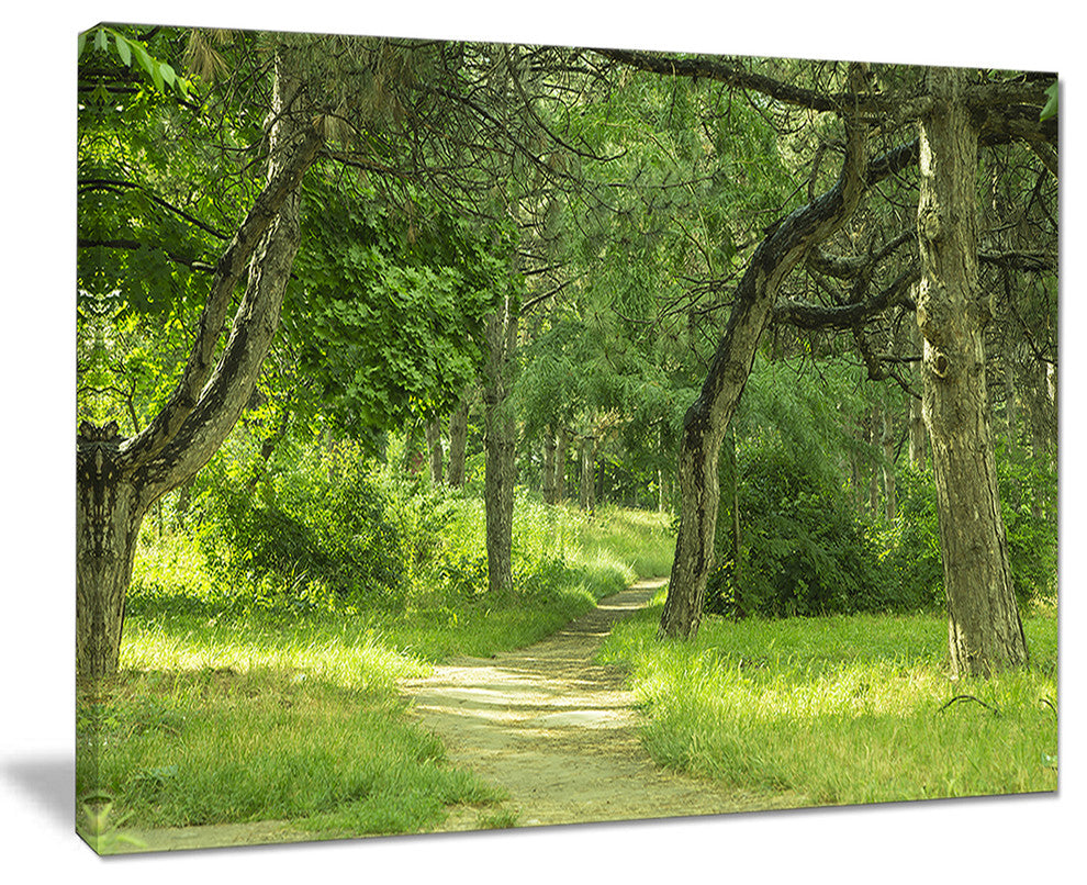 "Green Forest Path in Early Summer" Landscape Canvas Photo Print, 20"x12"