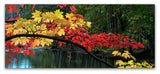Kurt Shaffer 'Autumn Red and Gold' Canvas Art