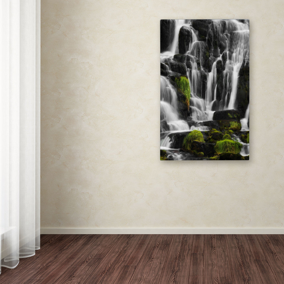 ''White Sonority'' Canvas Art by Philippe Sainte-Laudy