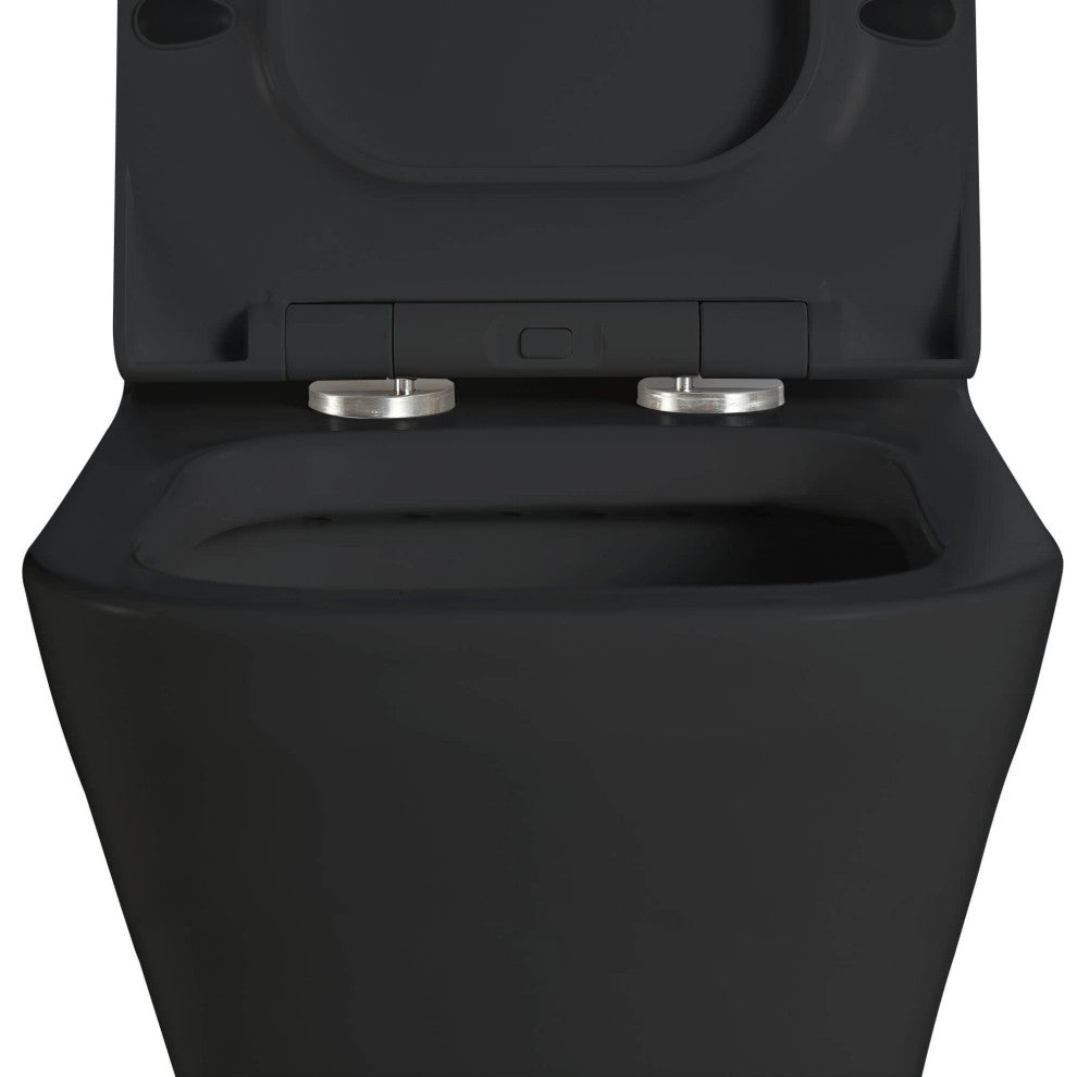 Fine Fixtures Dual-Flush Elongated One-Piece Toilet with High Efficiency Flush