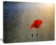 Lone Red Puppy Flower under Lights, Flowers Canvas Wall Artwork, 20"x12"