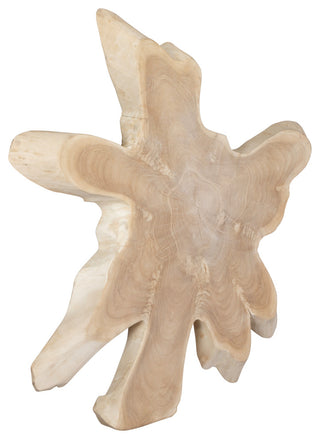 Uttermost Terrains Natural Wood Wall Decor