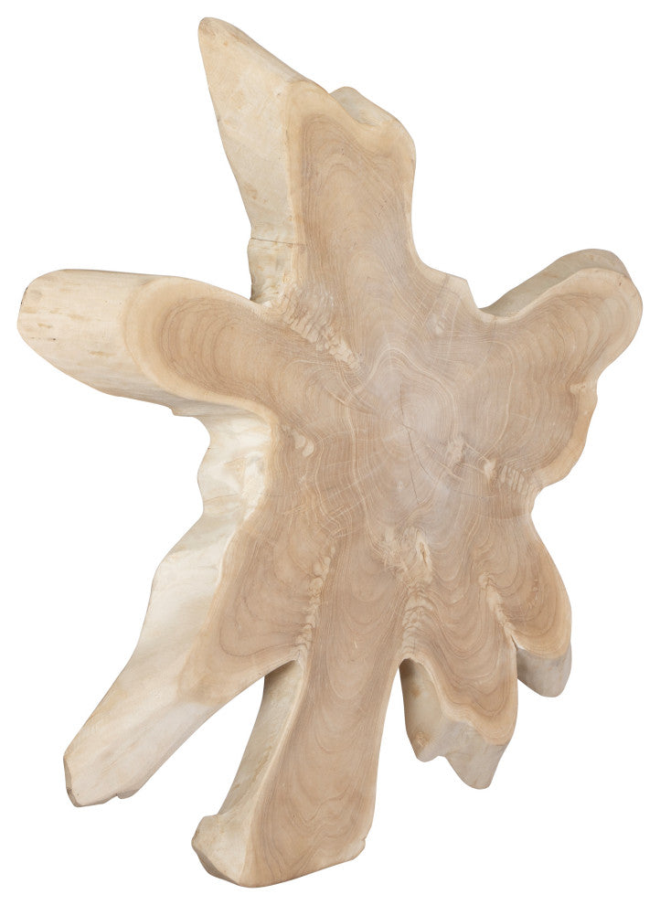 Uttermost Terrains Natural Wood Wall Decor