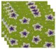18"x14" Hibiscus Blooms, Floral Print Pacemat, Light Green, Set of 4