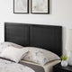 Platform Bed Frame, Queen Size, Wood, Black, Modern Mid-Century, Bedroom Master