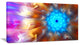 Multi Color Exotic Flower Petals, Floral Canvas Art Print, 40x20