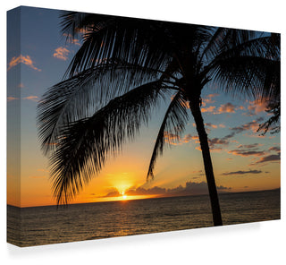 Pierre Leclerc 'Maui Sunset' Canvas Art, 32"x22"