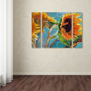 "Sun 11" Multi-Panel Canvas Art Set by Richard Wallich
