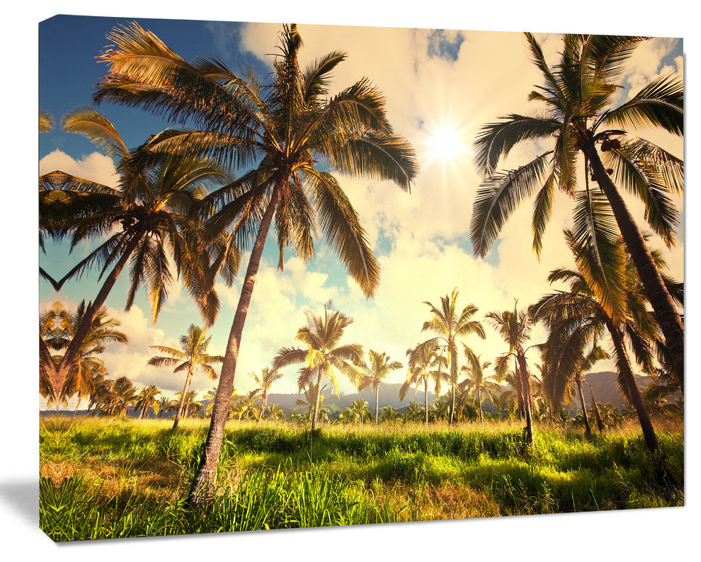Beautiful Palm Plantation in Hawaii, African Landscape Canvas Print, 40"x30"