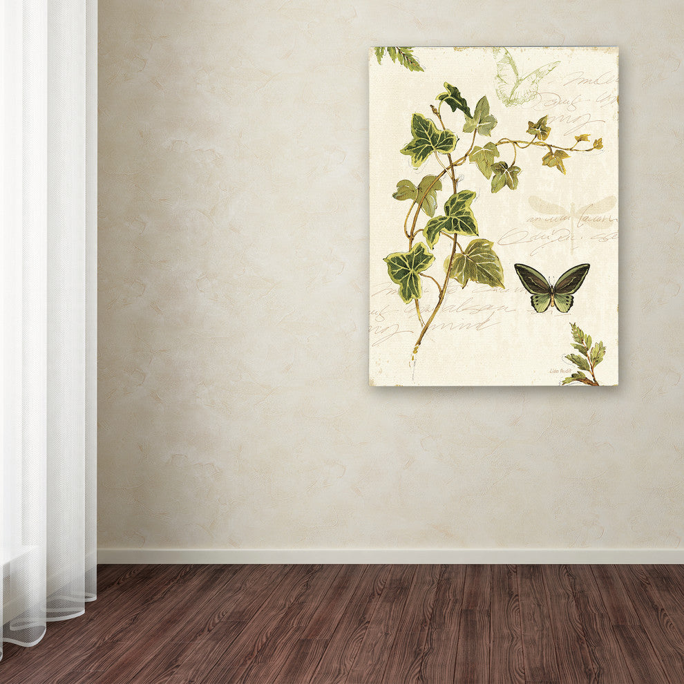 ''Ivies and Ferns IV'' Canvas Art by Lisa Audit