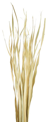Vickerman Rush Grass, Dried 7oz