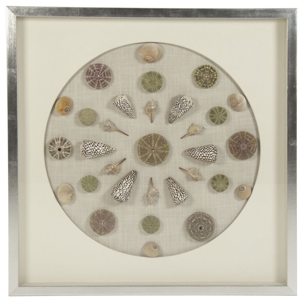 Abstract Shell Wall Art