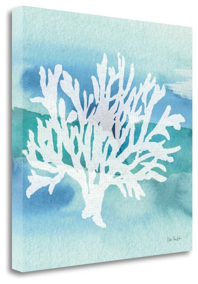 "Sea Life Coral II" By Lisa Audit, Giclee Print on Gallery Wrap Canvas