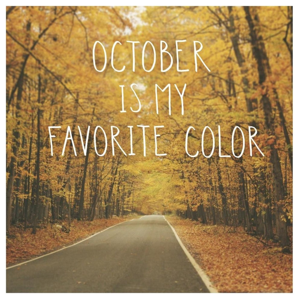 "October Color II" Digital Paper Print by Laura Marshall, 32"x32"