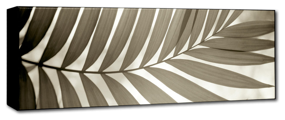 Alan Blaustein ''Florison 98'' Canvas Art, 19x6