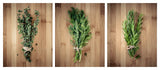 3-Piece Culinary Herbs On Bamboo, Kitchen Art Canvas, Contemporary Wall Decor