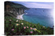 "Ice Plant Or Hottentot Fig Big Sur Coast Near Bixby Creek, California" Artwork